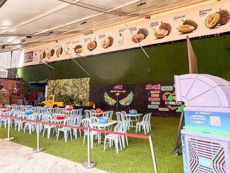 マレーシア ドリアン 品種