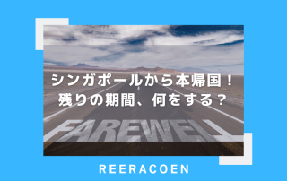 シンガポールから本帰国！残りの期間、何をする？