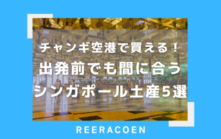 チャンギ空港で買える!出発前でも間に合うシンガポール土産5選